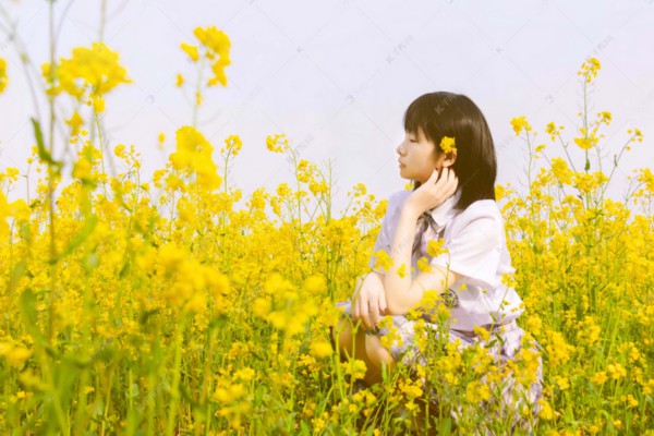 武汉餐馆喝茶攻略：一壶茶，一份悠闲好时光